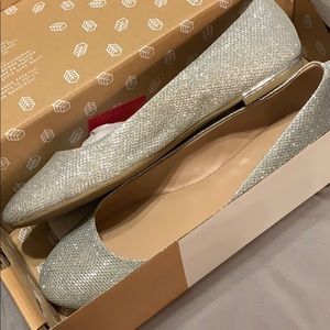 Sliver Sparkle Shoes